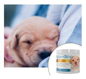 Mamistop Leche Para Perros Sustituto Lacteo Canino 250 G