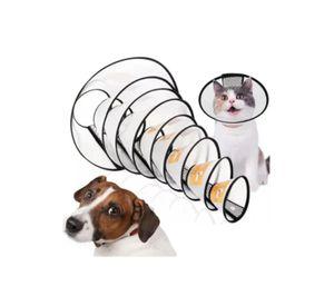 Collar Isabelino Velcro Talla 7 – 16-19 cm x 8,5 cm