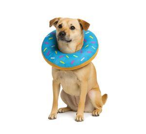 Collar Dona Para Mascotas Anti-lamido Talla XL