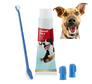 Kit Dental Para Mascotas Pasta De Dientes Y 3 Cepillos