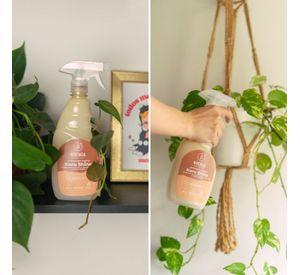 Abrillantador Plantas Koru Shine - 500cc