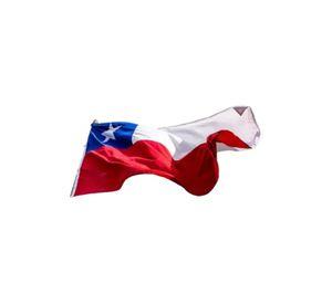 Bandera chilena 100 x 150 cm tela bordada reforzada