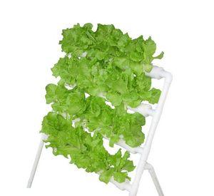 Cultivo Hidropónico Para 36 Plantas