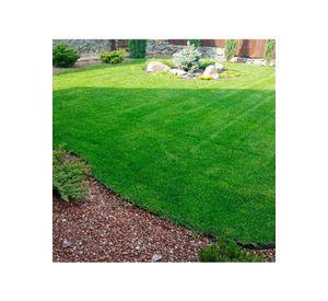 PASTO SINTÉTICO PRADO G20 MM 650 GRS - ROLLO 3 X 4 MT