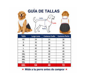 Traje de Huaso Chileno para Perro Talla 6XL