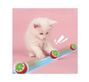 Juguete Pelota Interactiva Hierva Gatera Para Gatos Mascotas