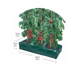 Bolsa Cultivo Hortalizas Ema15