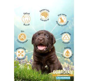 Alimento Guardián perro cachorro 9Kg