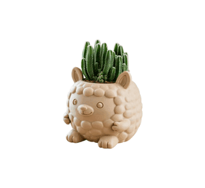 Macetero Decorativo Hogar- Forma Llamita 15 cm Beige