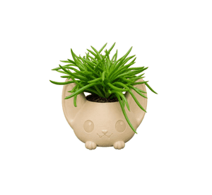 Macetero Decorativo Hogar- Forma Murciélago 7 cm Beige