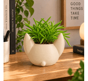 Macetero Decorativo Hogar- Forma Murciélago 7 cm Beige