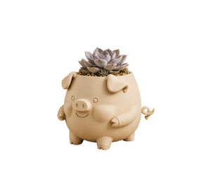 Macetero Decorativo Hogar- Forma Cerdito 13 cm Beige