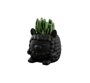 Macetero Decorativo Hogar- Forma Llamita 15 cm Negro