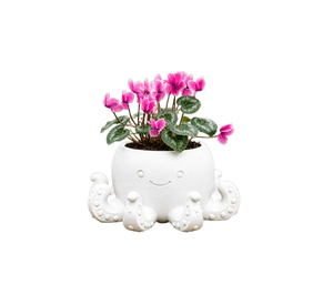 Macetero Decorativo Hogar- Forma Pulpo 22 cm Blanco