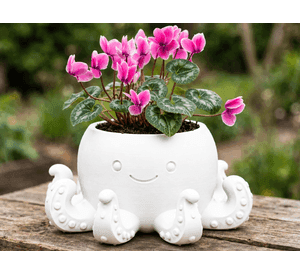 Macetero Decorativo Hogar- Forma Pulpo 22 cm Blanco