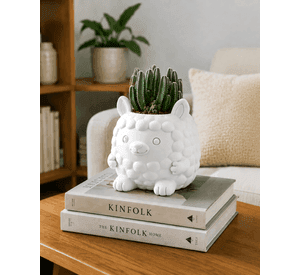 Macetero Decorativo Hogar- Forma Llamita 15 cm Blanco