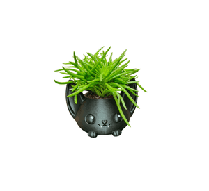Macetero Decorativo Hogar- Forma Murciélago 7 cm Negro