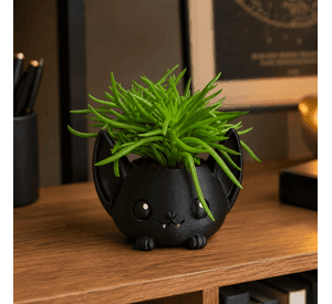 Macetero Decorativo Hogar- Forma Murciélago 7 cm Negro