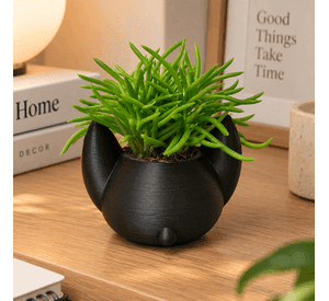 Macetero Decorativo Hogar- Forma Murciélago 7 cm Negro