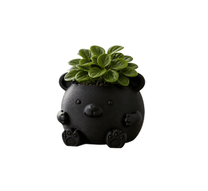 Macetero Decorativo Hogar- Forma Osito 16 cm Negro