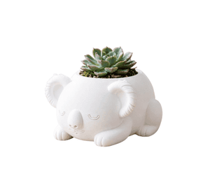 Macetero Decorativo Hogar- Koala Durmiente 10 cm Blanco