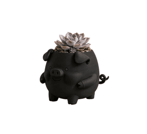 Macetero Decorativo Hogar- Forma Cerdito 13 cm Negro