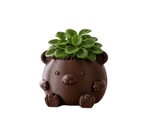 Macetero Decorativo Hogar- Forma Osito 16 cm Marrón