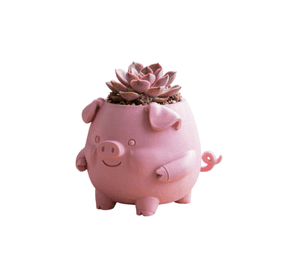 Macetero Decorativo Hogar- Forma Cerdito 13 cm Rosa