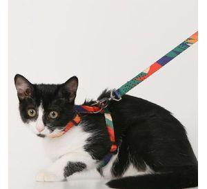 CONJUNTO DE ARNÉS Y CORREA PIDAN® - GATOS - A2