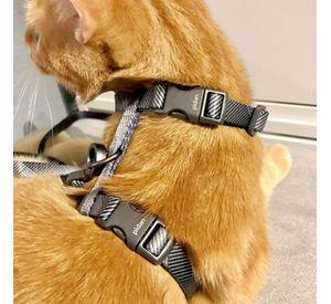 Arnés Y Correa Para Gato Ajustable Cómodo Seguro - Pidan®