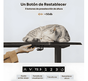 Escritorio eléctrico de altura regulable 120x60 cm Negro