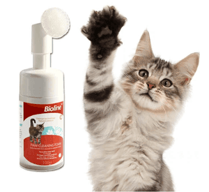Espuma Limpia Patas Con Cepillo Mascotas Perro Gato 100ml