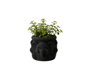 Macetero Decorativo Hogar- Forma Elefante Trompita 8 cm Negro
