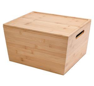 Caja organizadora Con tapa 27x36x20 cm