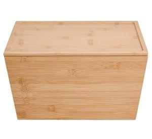 Caja organizadora Con tapa 22x32x17 cm