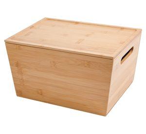 Caja organizadora Con tapa 22x32x17 cm
