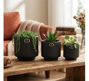 Set 3 Macetas Decorativas Estriadas Textura Cilíndrica ALJ