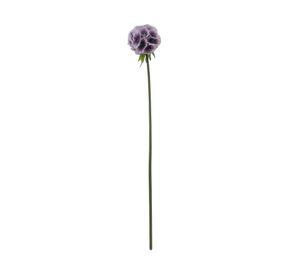 Aciano guinda 57 cm