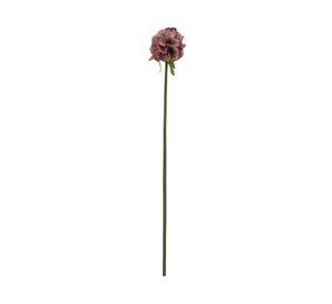 Aciano lila 57 cm