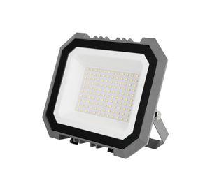 Proyector Led 100W 2700K Gris BP