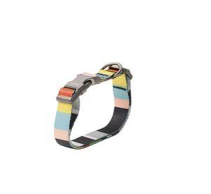 COLLAR PARA PERRO PIDAN® - A3 (RAYAS DE COLOR)