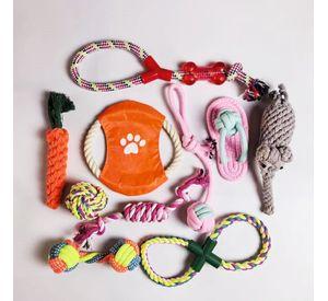 Set 10 Juguetes Mascotas Perro Bola, Cuerdas, Nudos, Raton