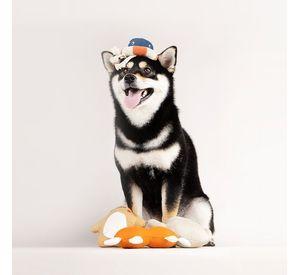 PIDAN® PET PLUSH TOY - SQUEAKER MONSTER – FATRICK - ESTRELLA DE MAR