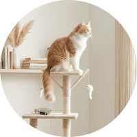 Gato naranja y blanco sentado en un árbol para gatos con juguetes colgantes.