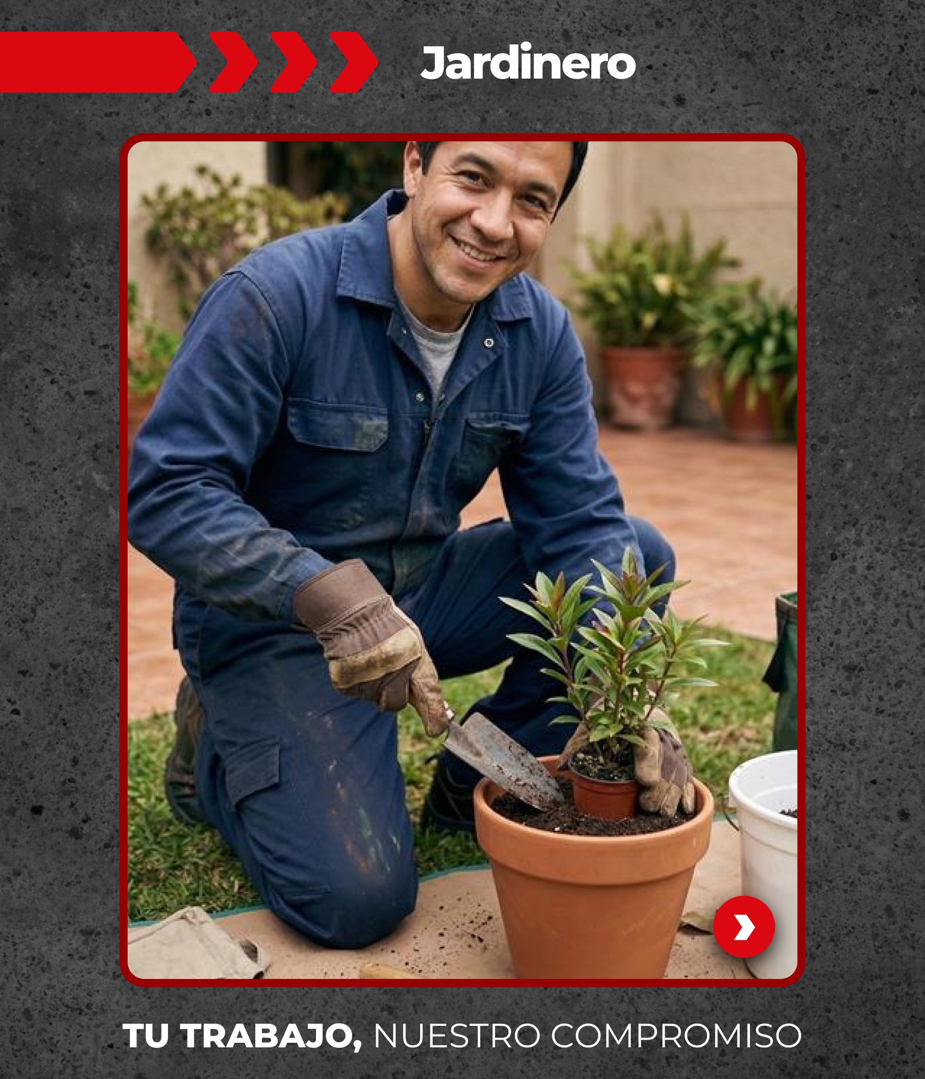 Jardín