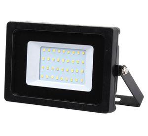 Reflector 30W luz fría