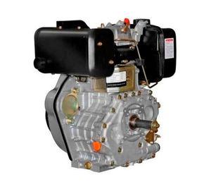 Motor diesel manual 10.5 HP TDE110EXP
