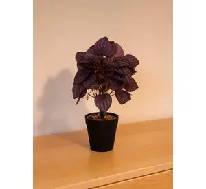 Planta Artificial Peperomia 28x9 cm