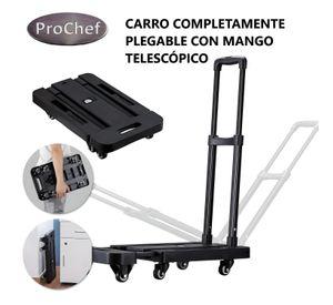 Carro Transportador Plegable 30x57 cm. Capacidad 200K
