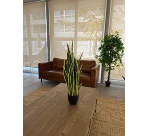 Planta Artificial Lengua de Suegra Sansevieria 75 cm/18 hjs